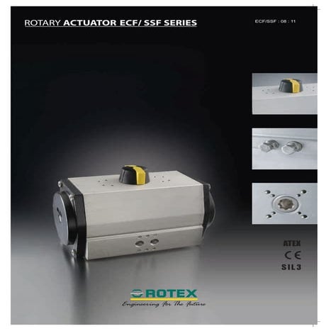 Rotex & Ravikiran Enterprises | PDF