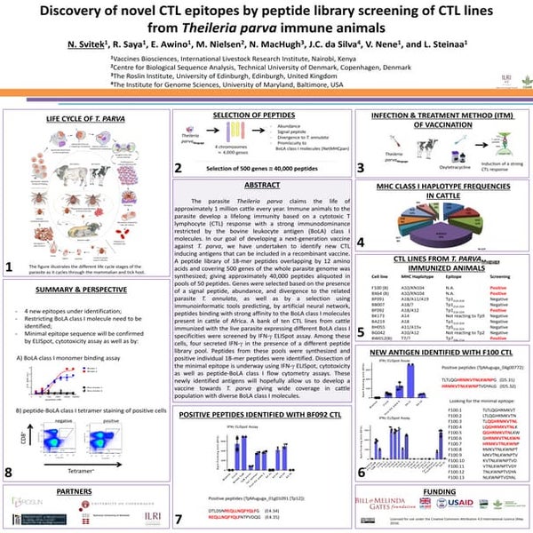 Discovery of novel CTL epitopes by peptide library screening of CTL lines fro...