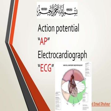 ECG