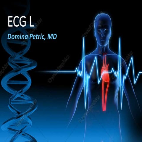 ECG L