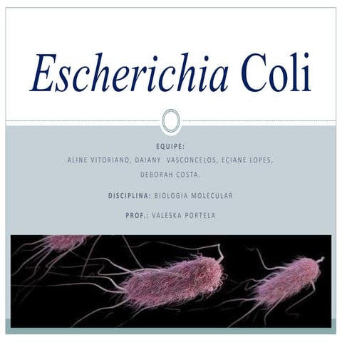 Diagnóstico Molecular Escherichia Coli.