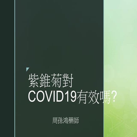 紫錐菊對COVID19有效嗎?