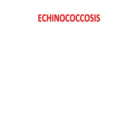 Echinococcus granulosus