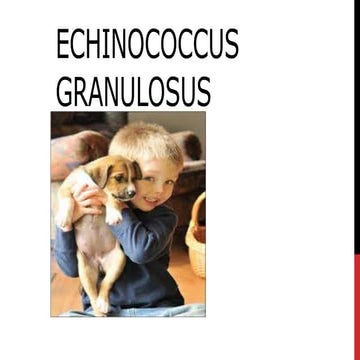 Echinococcus granulosus