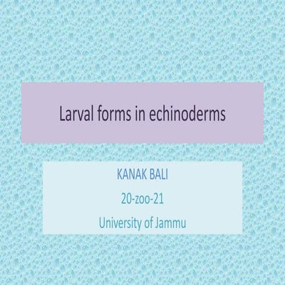 Larval forms in echinoderm.pptx