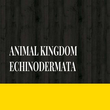 Echinodermata