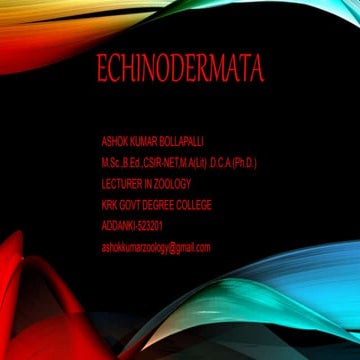 Echinodermata general characters