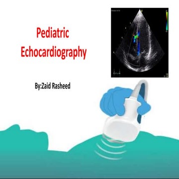 Echocardiography, CSF study, IV and IM injections