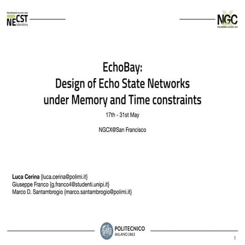 EchoBay: optimization of Echo State Networks under memory and time constraints