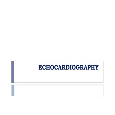 Echocardiogram