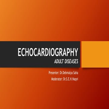 Echocardiography