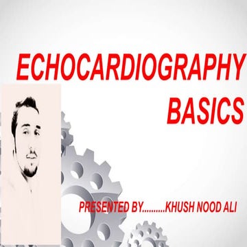 Echocardiography basics