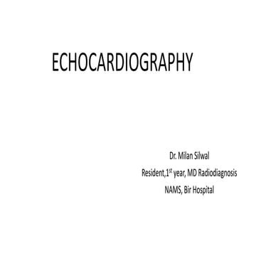 Echocardiography 