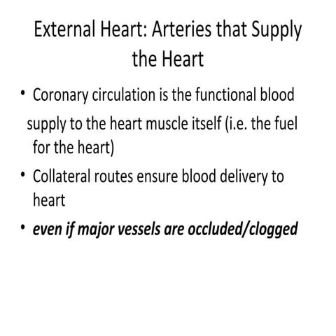 Echo class 2_05262015