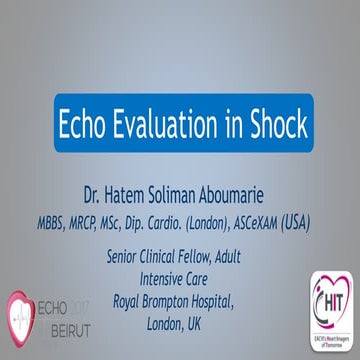 Echocardiographic Evaluation of Shock States