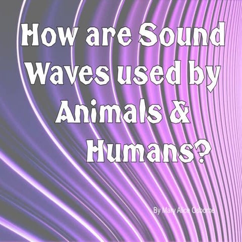 Echolocation 141029103609-conversion-gate02 | PDF