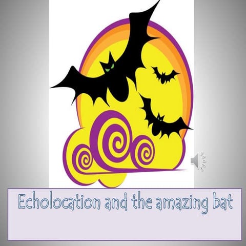 Echolocationandbatsczequeira