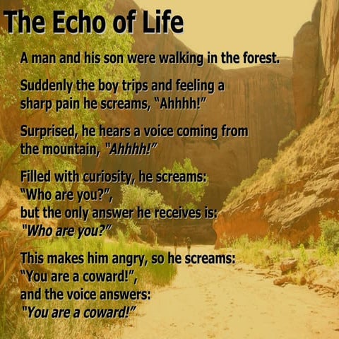 Echo Of Life