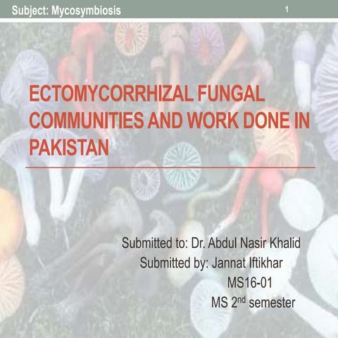 ectomycchorhizal fungi