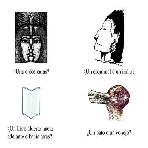 Ec maxwell i  14 10_2006