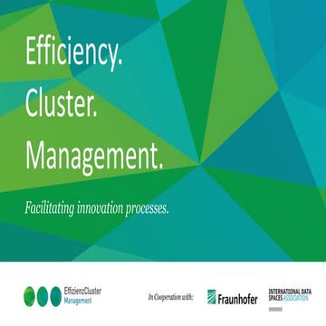 EffizienzCluster Management GmbH