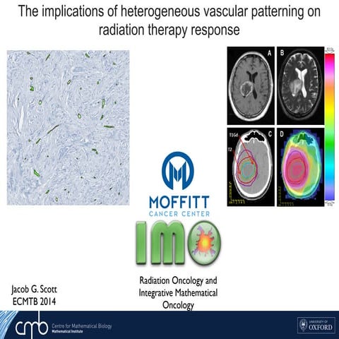 Ecmtb2014 vascular patterning | PDF