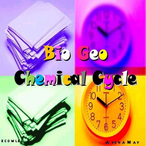 biogeochemical cycle