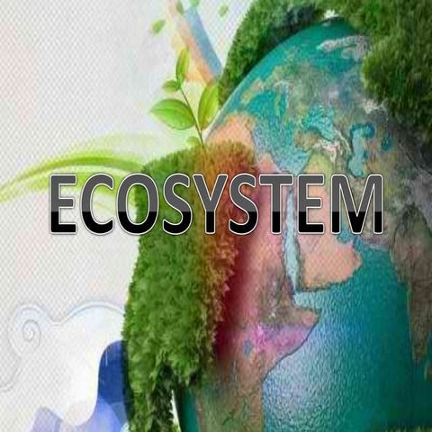 Ecosystem