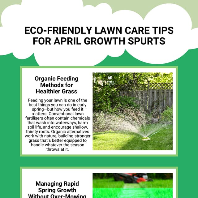 Eco Friendly Lawn Care: Sustainable Strategies for a Greener Yard