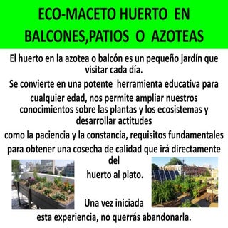 Eco maceto huerto  en balcones,pati...