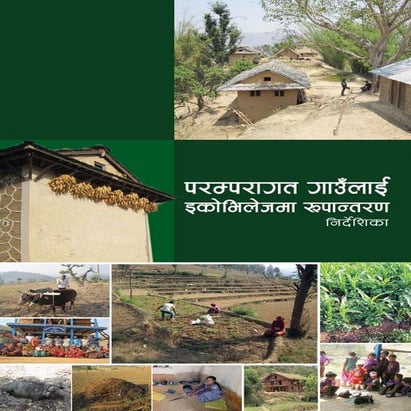 Guidelines for Transforming Traditional Village into Eco-Village | PDF