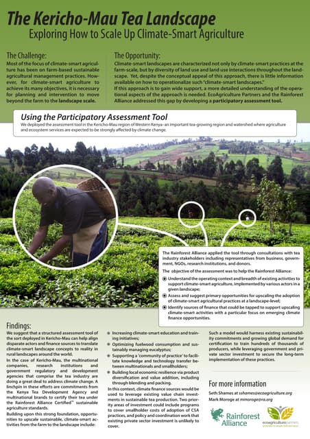 Climate Smart Agriculture in the Kericho-Mau Tea Landscape