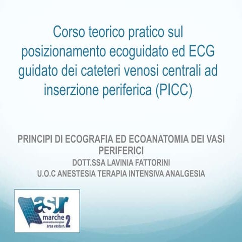 Ecoanatomia vasi periferici