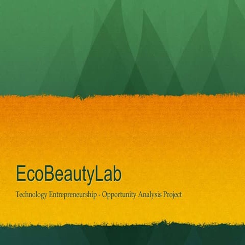 EcoBeautyLab Opportunity Analysis Project - Technology Entrepreneurship Class...