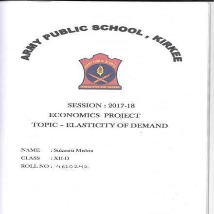 Class 12 Economics Board Project | Elasticity of Demand |