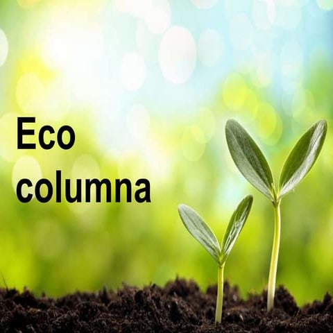 Eco columna | PPTX