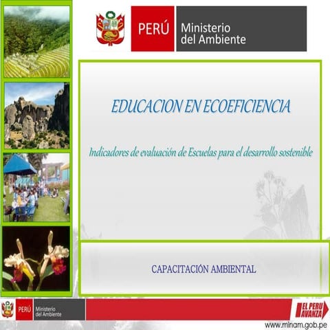 Ecoeficiencia indicadores de gestión enero 2010[4]