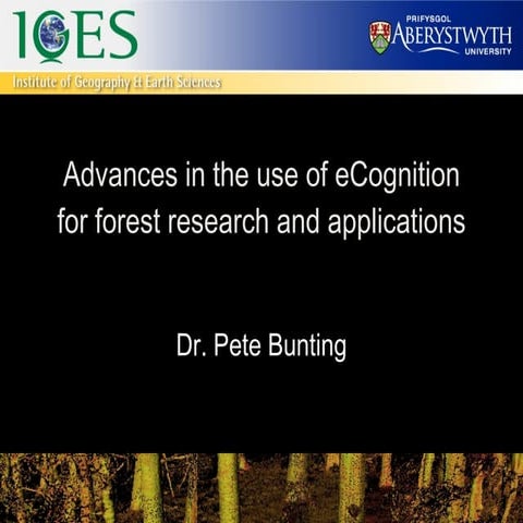 E Cognition User Summit2009 Pbunting University Wales Forestry