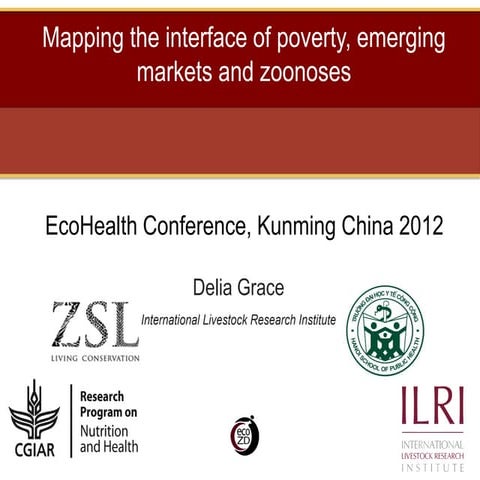 Mapping the interface of poverty, emerging markets and zoonoses