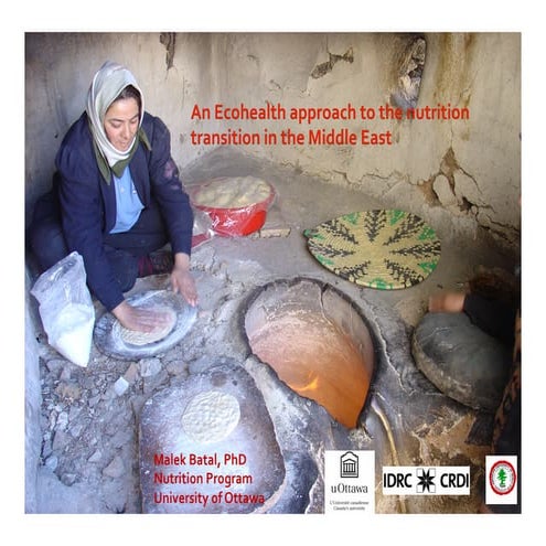Ecohealth approach to the nutrition transition in Lebanon - Dr. Batal - Unive...