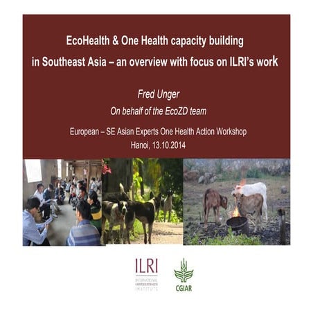 EcoHealth and One Health capacity building in Southeast Asia: An overview wit...