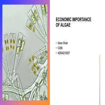 Eco imp of algae.pptx