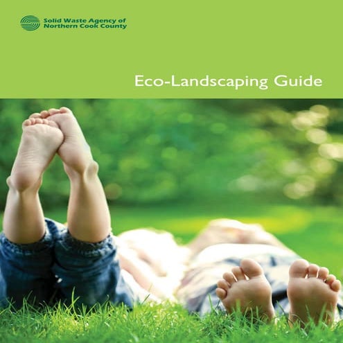 Eco-Landscaping Guide - Northern Cook County, Illinois