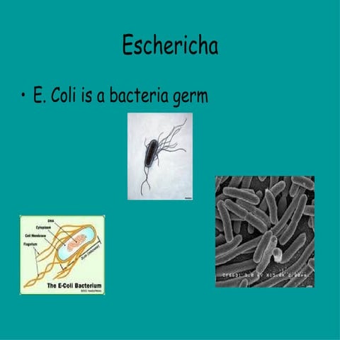 E coli | PPT