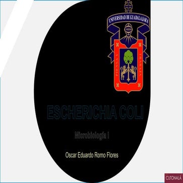 Escherichia coli microbiologia baterias 