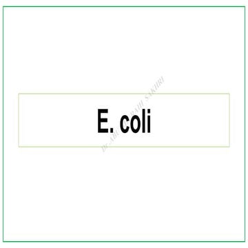 E coli - Microbiology 