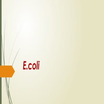 Lab diagnosis, properties of Escherichia coli