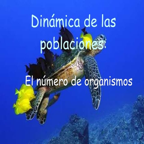 Ecología
