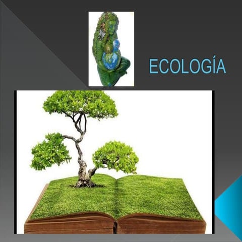 Ecología