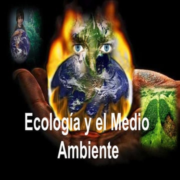 Ecología y el medio ambiente